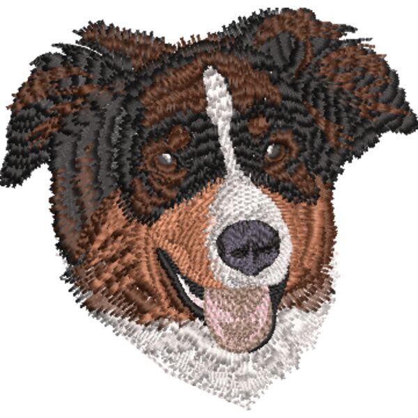 Kelpie dog Thumbnail